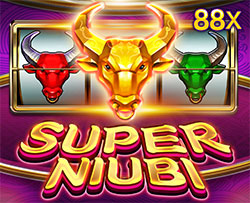 Super Niubi